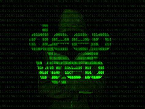 Deep Web et Dark Web : l’envers du&nbsp;numérique